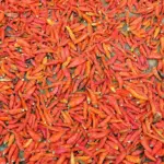 Sådan marinader du piri‑piri‑kylling i vakuum til Sporting Lissabon‑tema‑grill